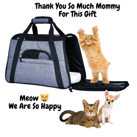 Cozy Pet Adventure Carrier