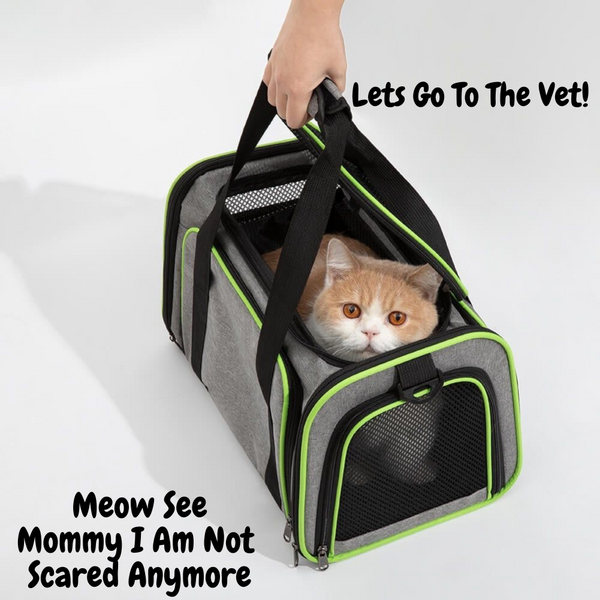 Cozy Cat Adventure Carrier